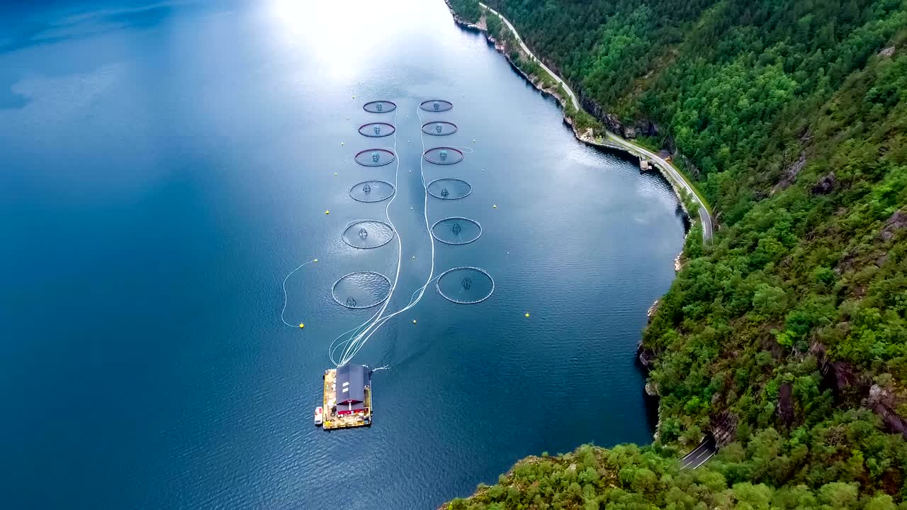 노르웨이에서 연어  ⁇ 시를 하는 공중 촬영