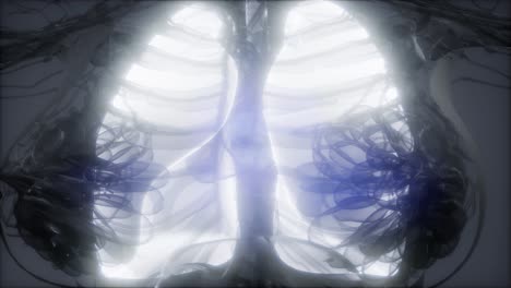 human lungs radiology exam