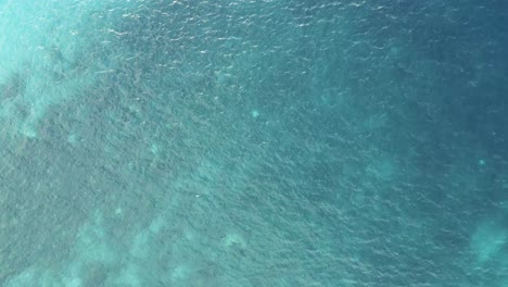 aérea de arriba hacia abajo azul océano prístino mar marino limpio agua clara no contaminada