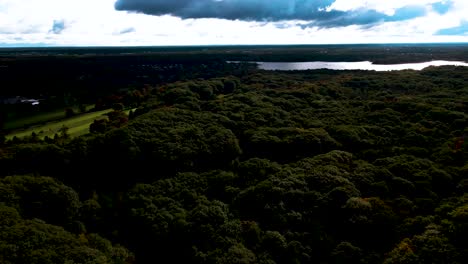 Antenne-Der-Dichten-Baumdecke-In-Einem-State-Park