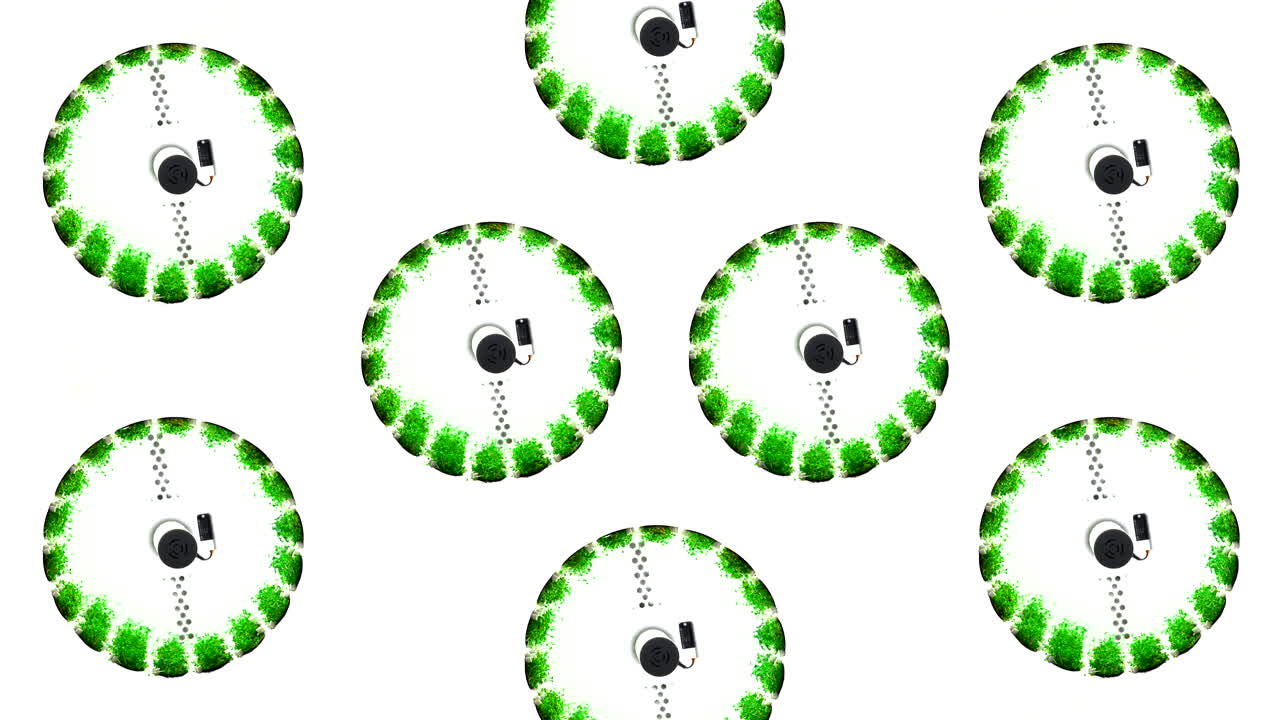 patrón circular de plantas verdes sobre un fondo blanco