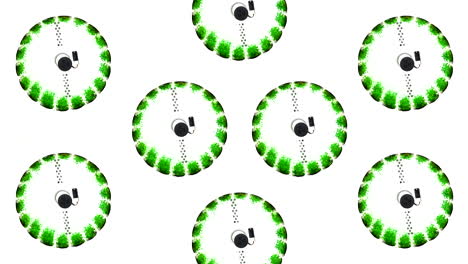 circular pattern of green plants on white background