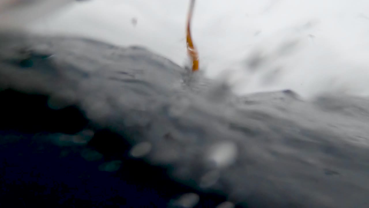 참치 가 가프 를 당하는 그래픽 비디오