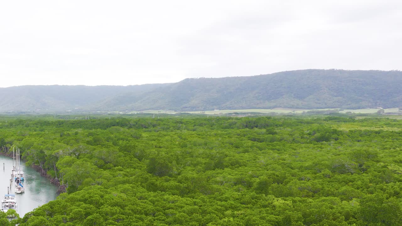 Drone footage captures a vibrant green forest and winding river under overcast skies in Port Douglas, Australia