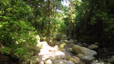 Drone-flying-through-the-jungle-and-the-fresh,-clear-waters-of-the-hidden-gem-of-Minca,-Colombia,-in-South-America