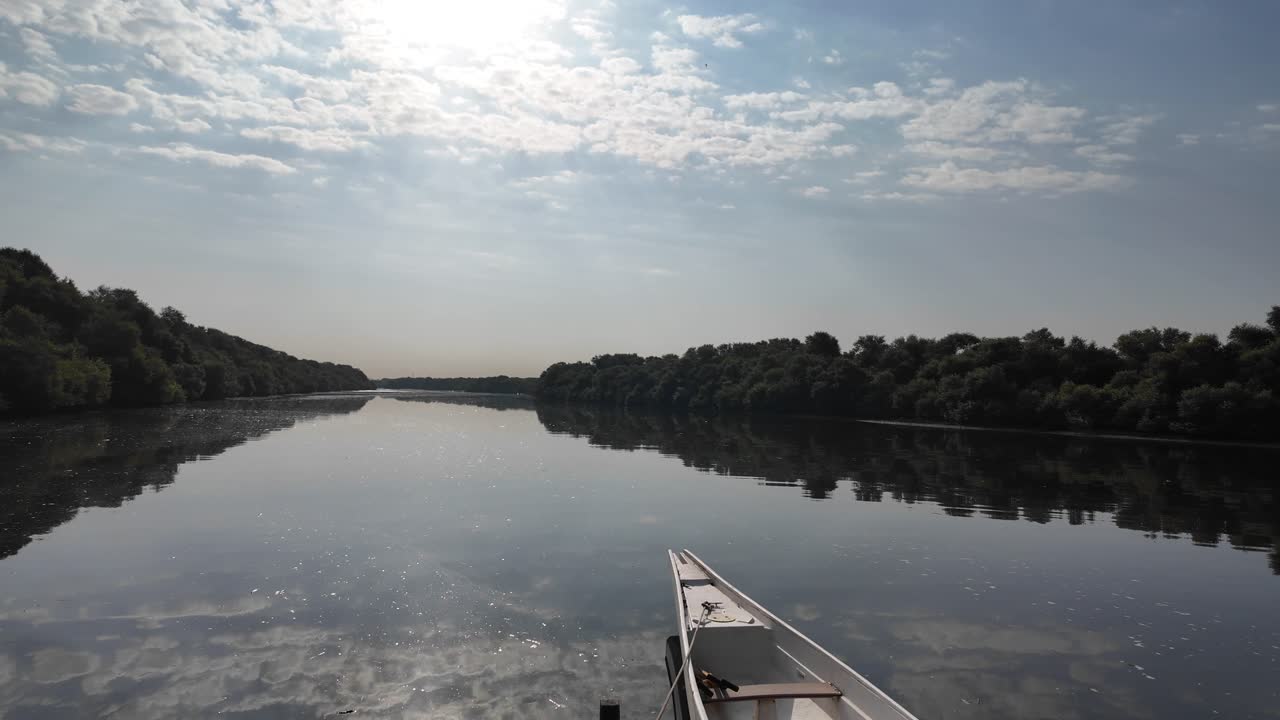 Al Zorah Mangrove in Ajman, UAE, a thriving ecosystem teeming with birdlife and natural beauty