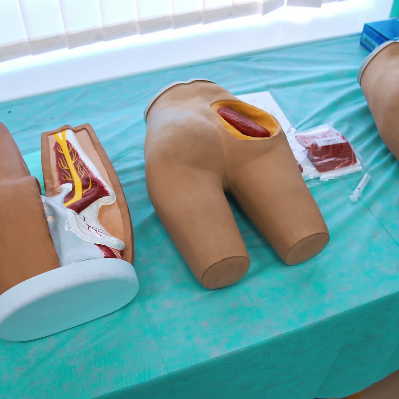 Plastic mannequin parts with internals for studying. Medical dummies for students' practice in the university. Model parts of human body on table