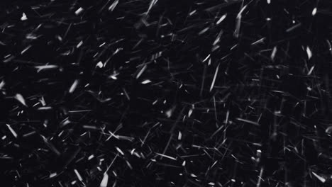 Snow-Blizzard-on-black