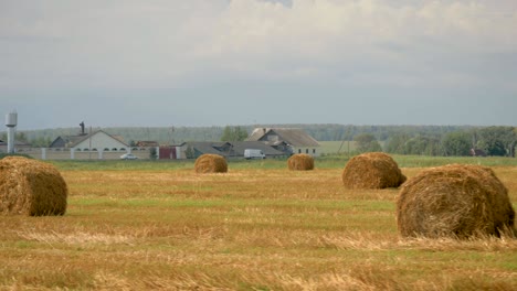 agricultural field with haystacks after harvesting wheat on the farm background