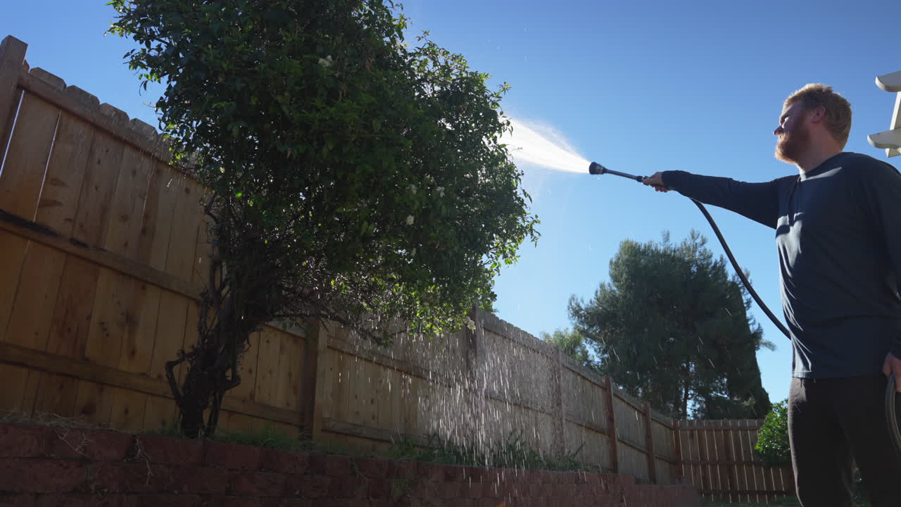 Gardener Watering Green Shrub In Backyard With Garden Hose In Summer. low angle shot