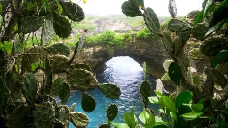 Handheld-dolly-through-tropical-vegetation-reveals-oceanic-arch-of-broken-beach,-Bali-Indonesia