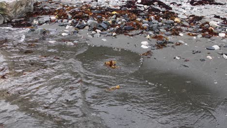 close up of waves reaching dark sand with rocks and stones