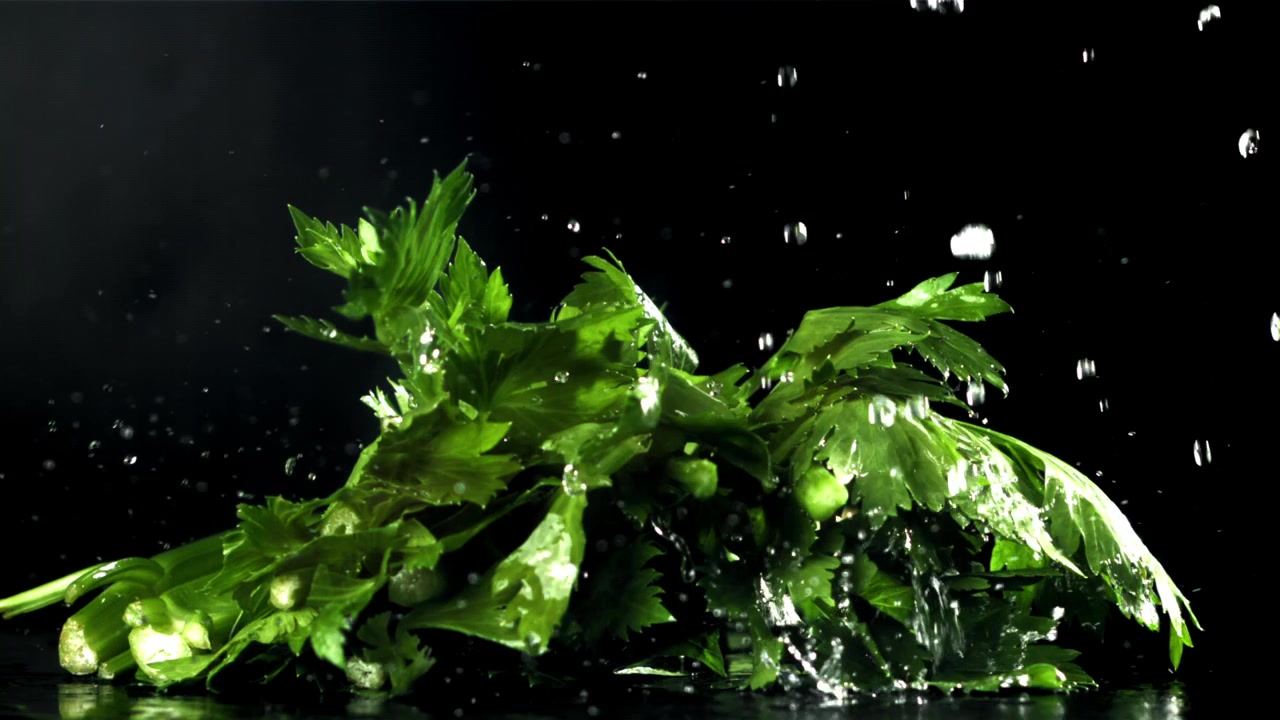 Movimento lento di acqua che schizza su prezzemolo fresco e verde