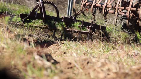 tractor harrowing sobre el pasto crecido caballo arena harrow