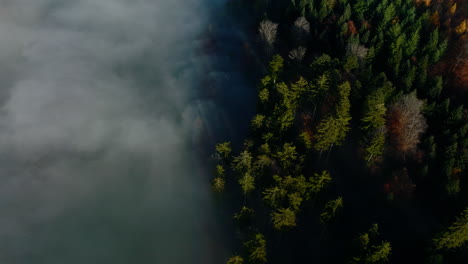 Drohnenansicht-Von-Oben-Nach-Unten-Auf-Die-Von-Winternebel-Bedeckten-Wälder-In-Der-Nähe-Des-Dorfes-Savigny-Im-Waadtland,-Schweiz