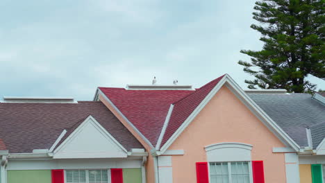 birds on top of a house roof in florida on an overcast day during hurricane season