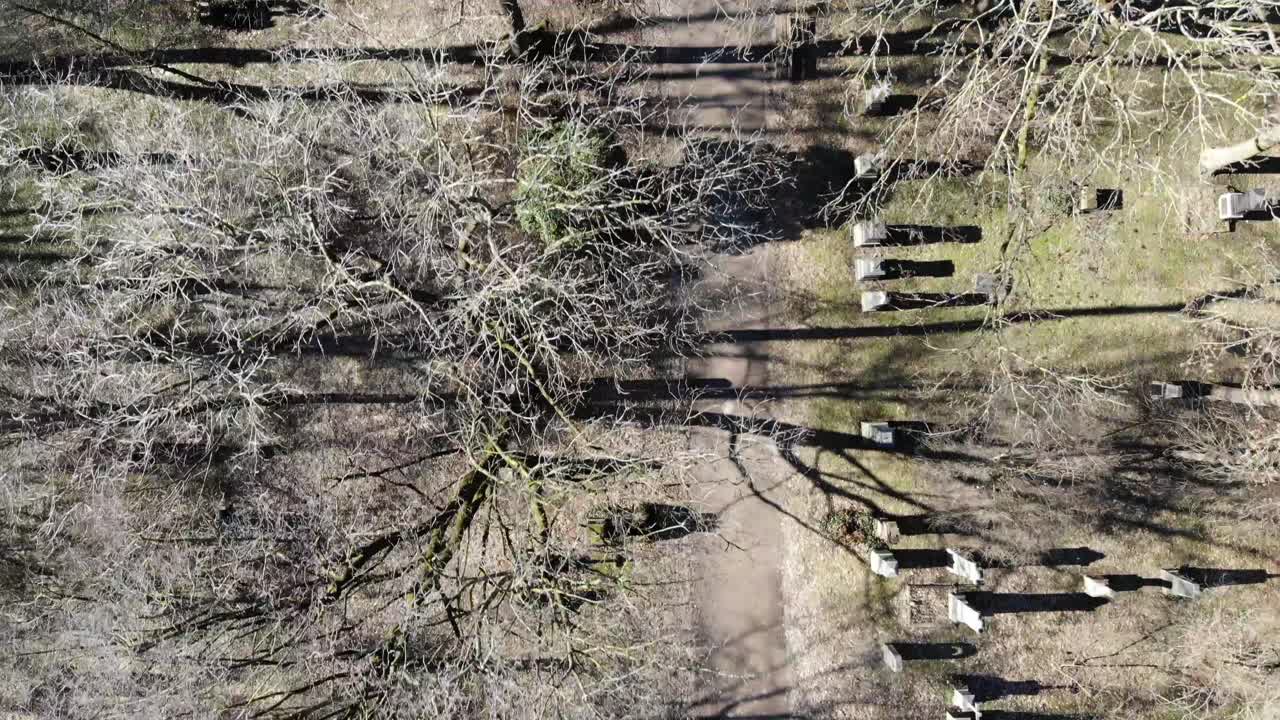 alter nordfriedhof munich cementery vista superior 4k