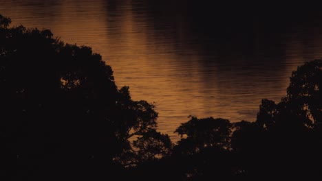 amazon river at sunset flows slowly through tambopata national reserve, peru