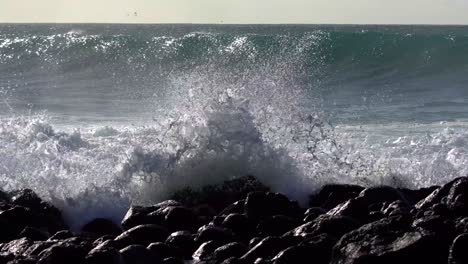 le onde blu si infrangono sulla costa delle hawaii e si infrangono sulla riva 8