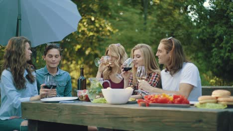 friends toasting with drinks at dinner party outdoors.