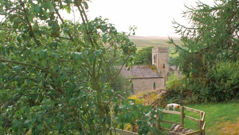 Weite-Aufnahme-Der-Englischen-Kirche,-Eingebettet-Zwischen-Birnenbaum-In-Den-Yorkshire-Dales