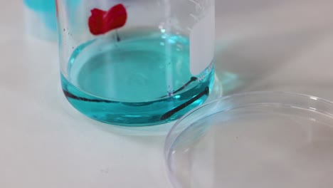 reacción química observada en un entorno de laboratorio