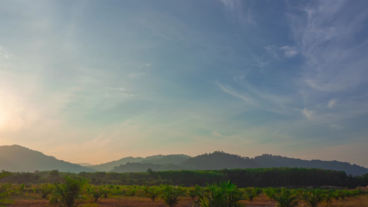 푸른 하늘 위에 빛나는 빛, 해가 뜨는 풍경, 자연의 배경, 은 하늘에서 천천히 움직이는  구름, 황금빛, 빛이 빛나는 아름다운 꽃, 구름의 풍경