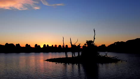 Antena:-Puesta-De-Sol-Sobre-Un-Lago-Mientras-La-Cámara-Se-Mueve-A-Través-De-La-Silueta-De-Un-árbol