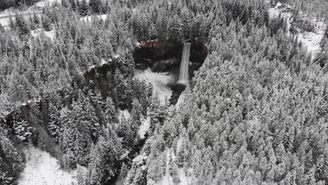 Schöner-Wasserfall-Umgeben-Von-Schneebedeckten-Kiefern-Im-Winter