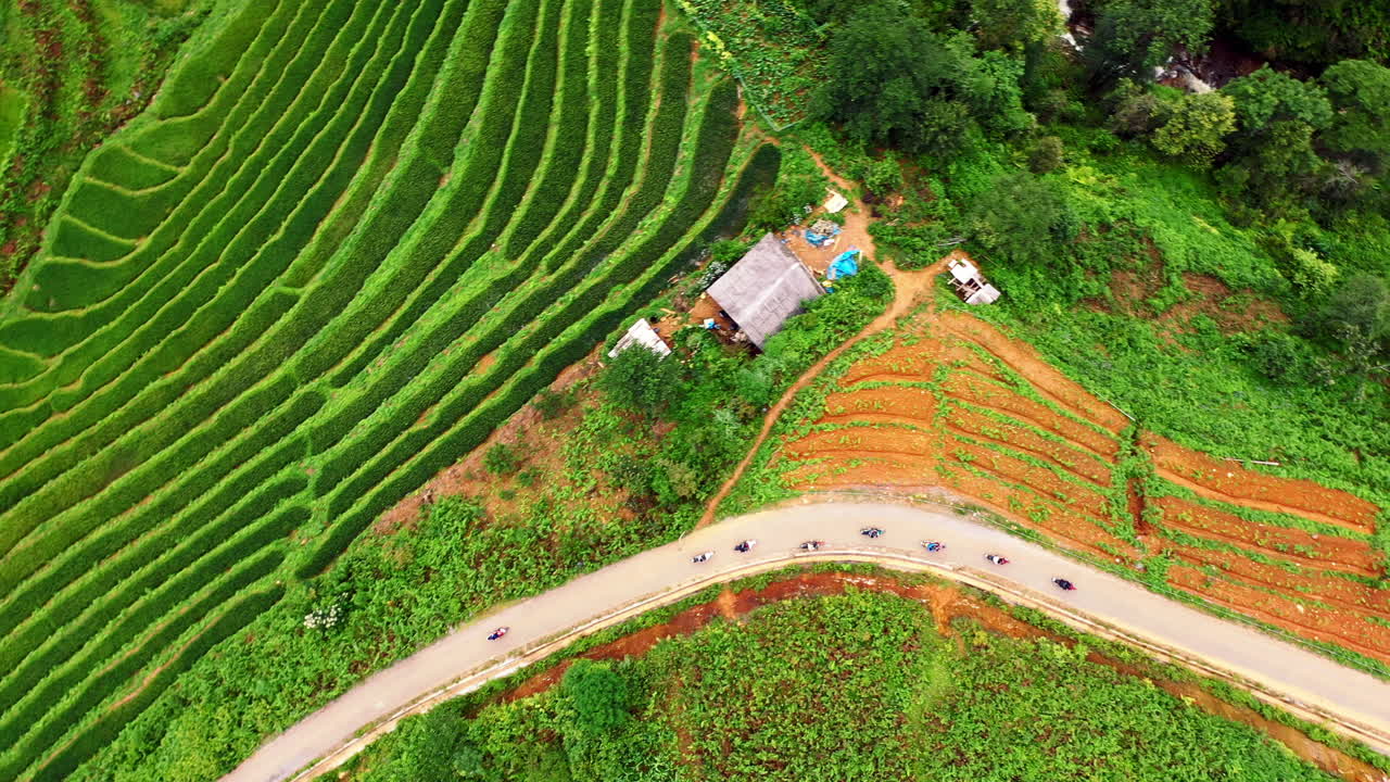 It&rsquo;s how the locals get around