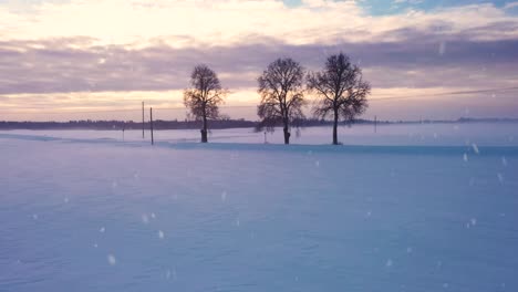 snowfall over agricultural field covered in pure white snow during sunset or sunrise