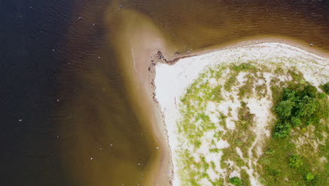 a dramatic drone camera view, top down bird's eye view over seagulls which looks like snow flakes flying below, with a grassy shore, a small sand bank-beach - dark creek water