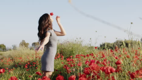 woman in a poppy field