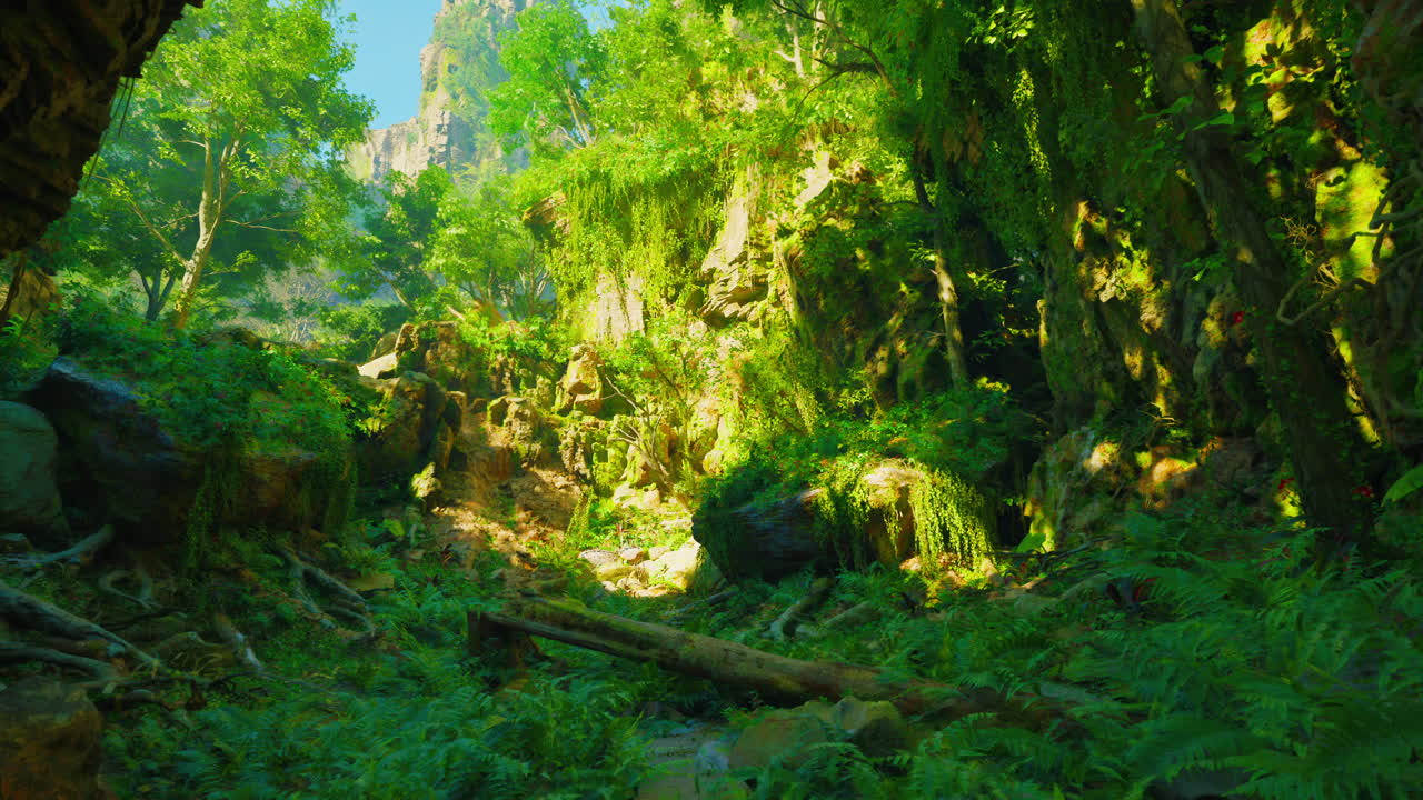 나무 들 을 통해 빛 이 필터링 되는 울창 한 초록색 정글