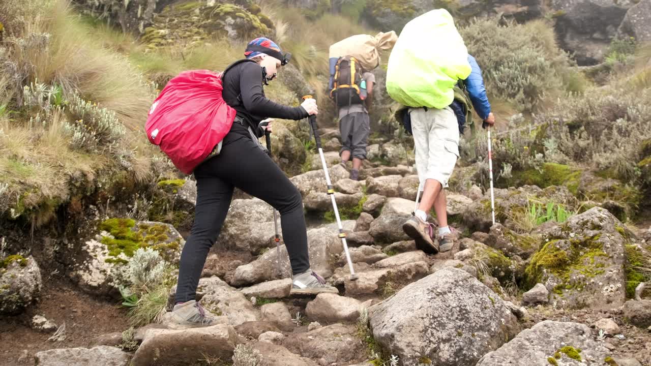 산책객들은 가이드와 함께 시라의 캠프로 올라갑니다.