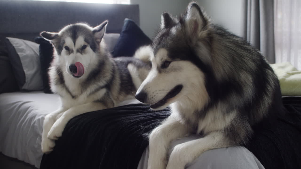 잠을 자면 좋겠어