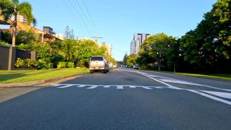 quiet urban road with parked cars and trees