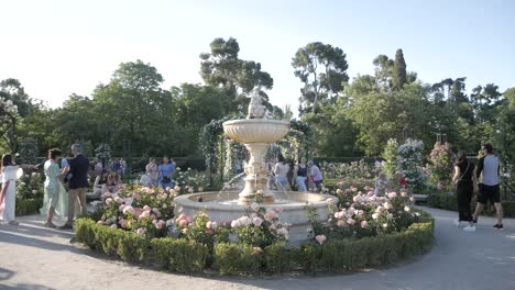 a lively scene of the fountain of cupid and people visiting la rosaleda in retiro park in spring. vibrant and picturesque garden scene.