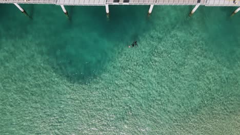 Freedivers-float-effortlessly-in-the-clear-ocean-waters-next-to-a-large-concrete-city-infrastructure