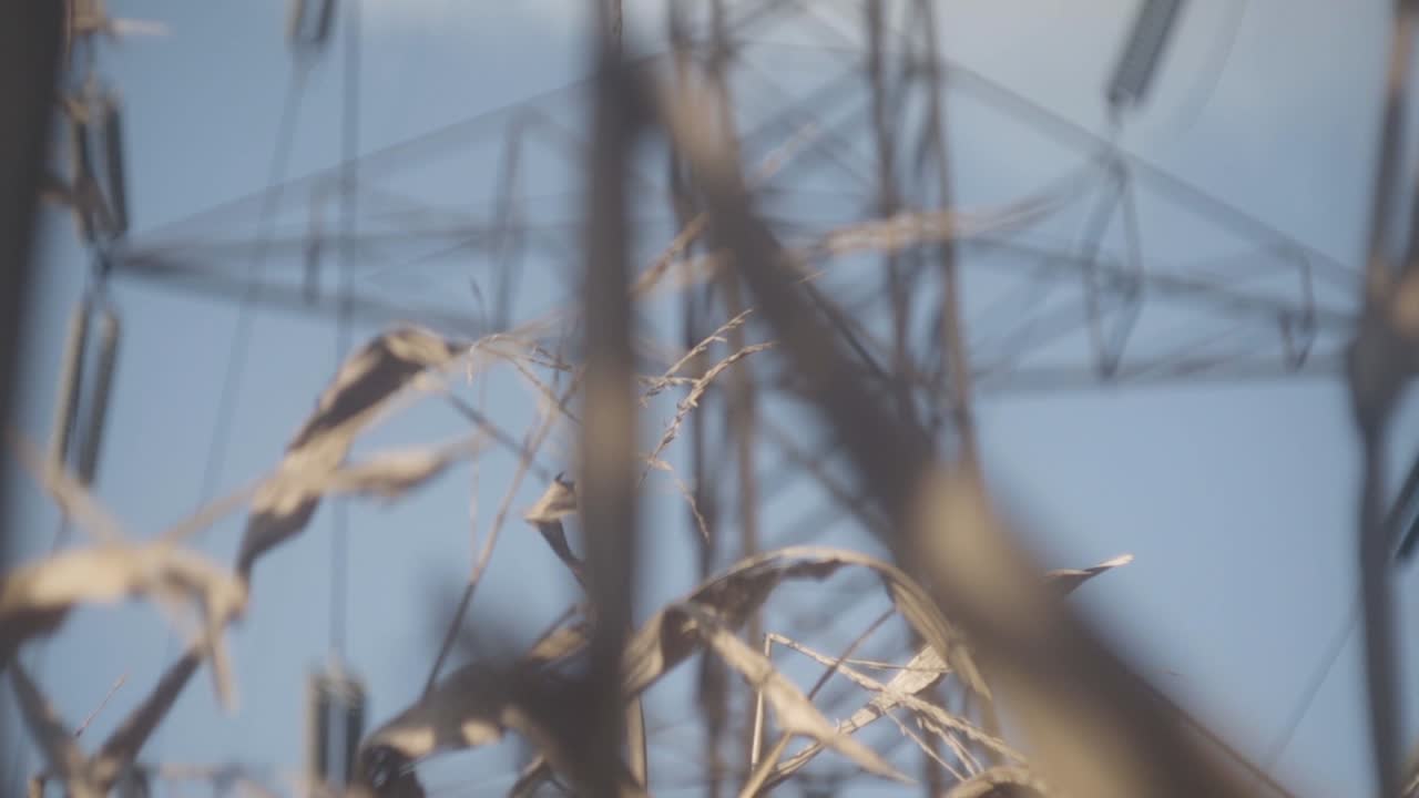 옥수수 밭이 내려다보이는 송전탑 슈퍼 슬로우 모션