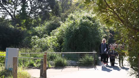 children and teacher walking through zoo pathway