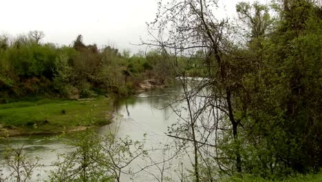 On-the-bank-of-a-river-in-Victoria-Texas