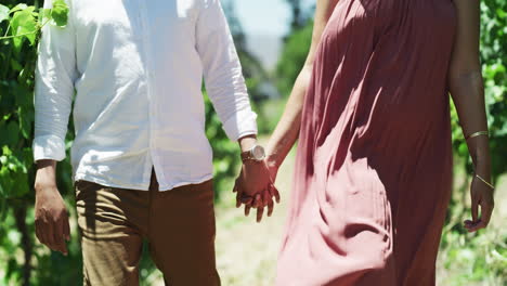 couple walking hand-in-hand in a vineyard