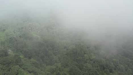 aerial over beautiful cloud rainforest