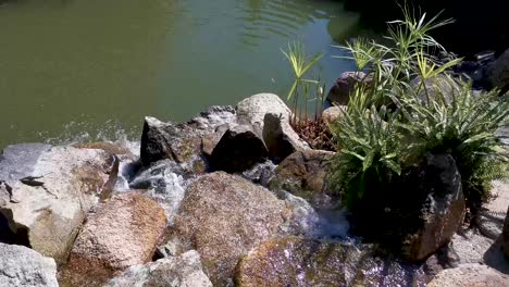 agua que fluye hacia el lago, hermosa naturaleza