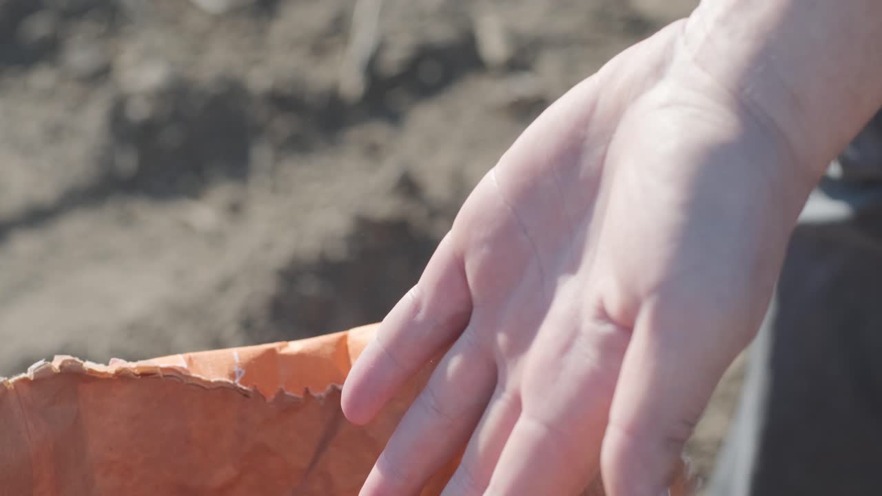 옥수수 씨은 농부의 손에 있습니다. 농부들은 옥수수를 수확합니다. 농업 산업.