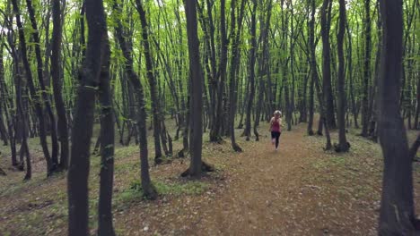 tracking shot of young woman with sport outfit running and jogging through trees and woods in a forest alone on sunny day