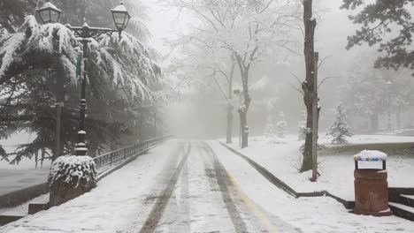 pasando por un camino angosto desierto en un parque durante la caída de nieve en el parque funicular mtatsminda en georgia