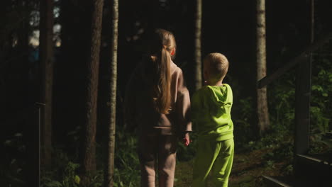 alone kids stand on dark forest edge at night. little girl with brother observe mysterious evening woods at camp. children join hands in wild park