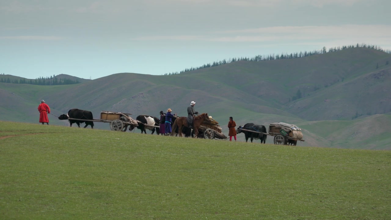 Mongolsk nomadefamilie rejser med yakvogne over steppen